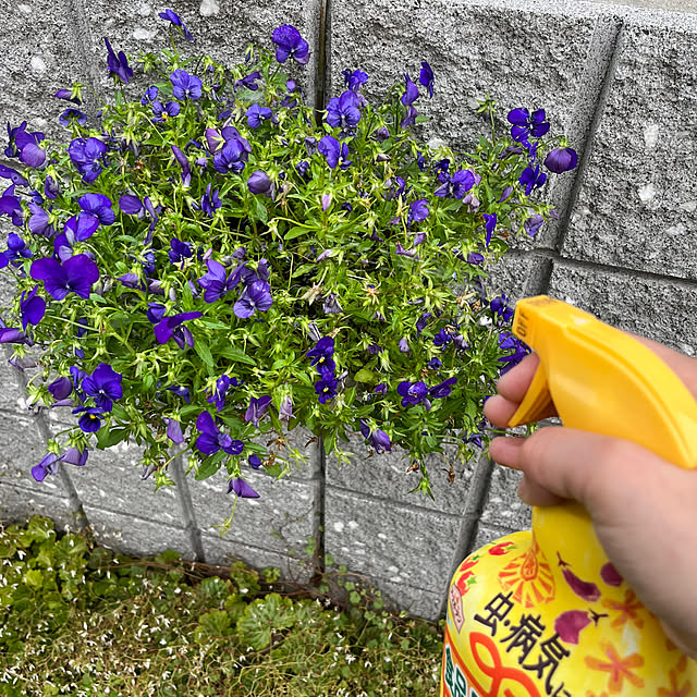 bonapetiさんの実例写真