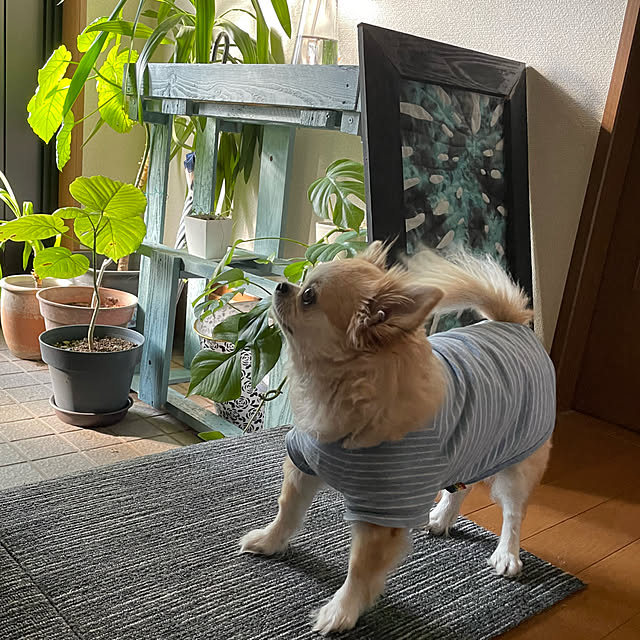 natsumiさんの部屋