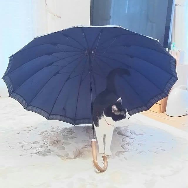 oliveさんの実例写真