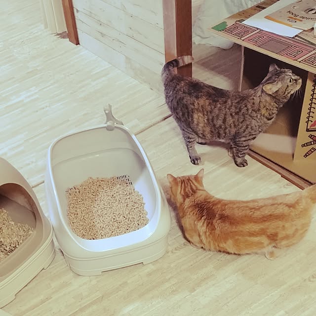 runaさんの実例写真