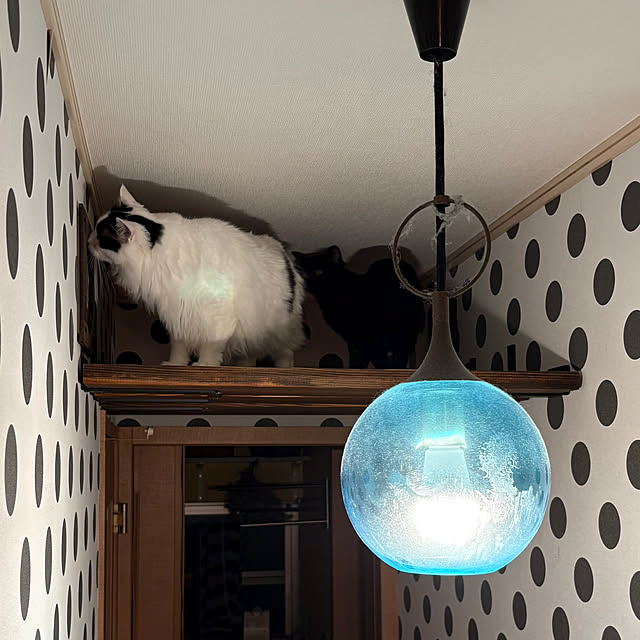 Tetsuyaさんの実例写真