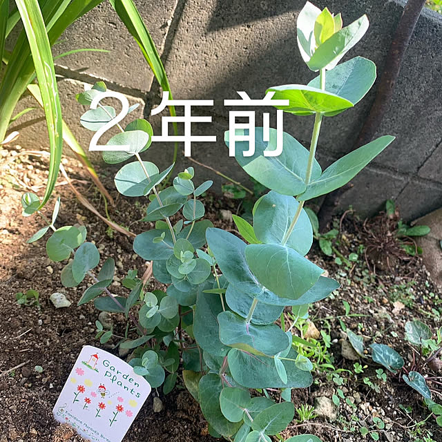 Fumiさんの実例写真