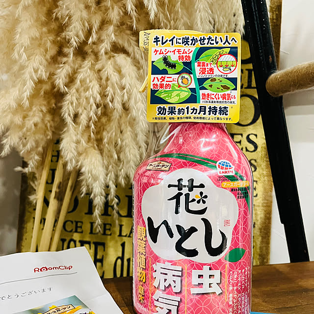 mayumiさんの部屋
