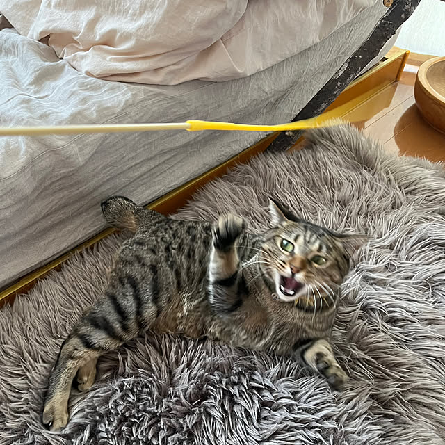 Mさんの部屋