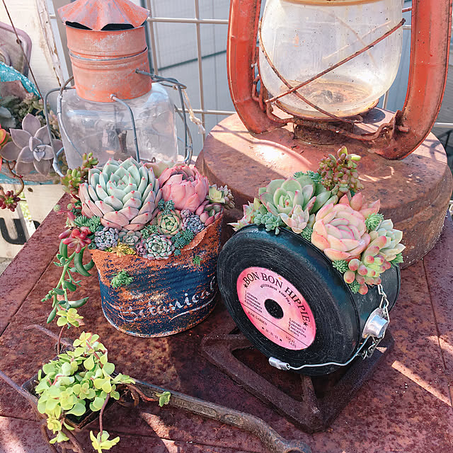 bon-bon-hippieさんの実例写真