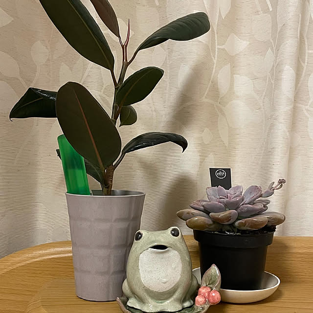 poketaさんの実例写真