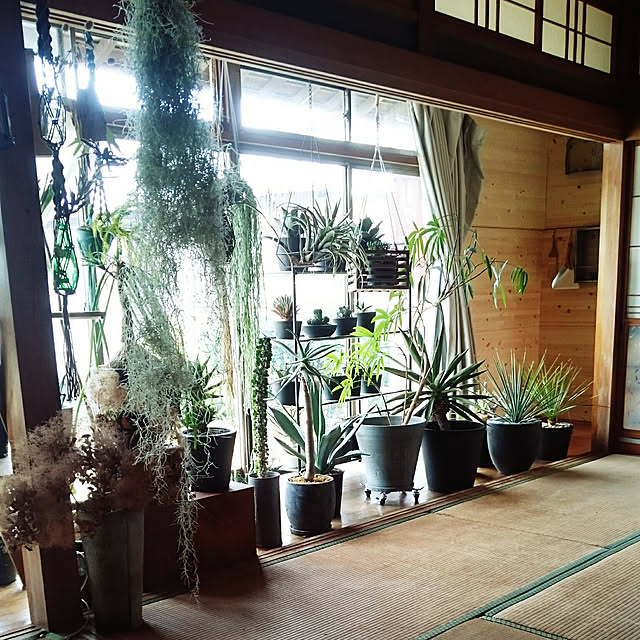 takenさんの実例写真