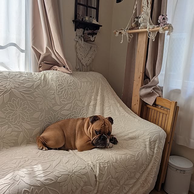 chi_gogaさんの部屋