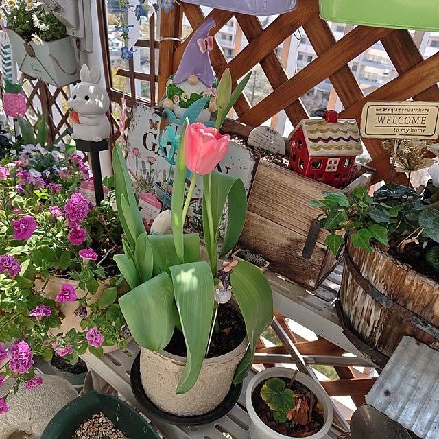 mariaさんの実例写真