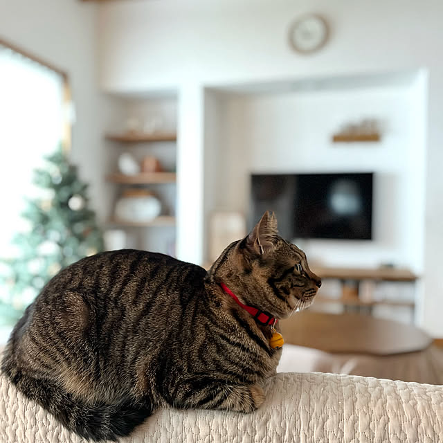 puu.tuuliさんの部屋