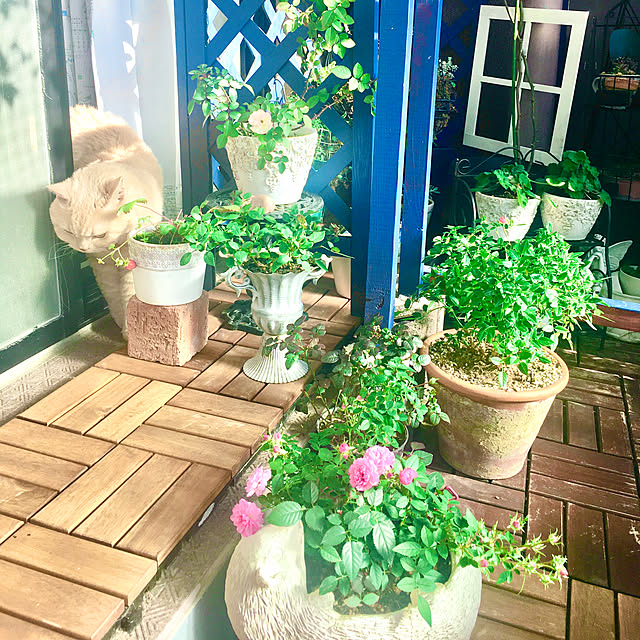 naokoさんの部屋