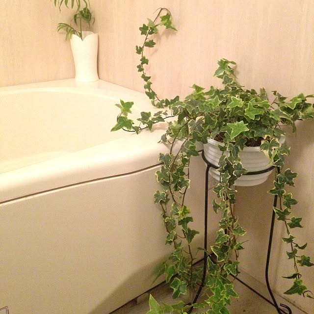 aoさんの実例写真