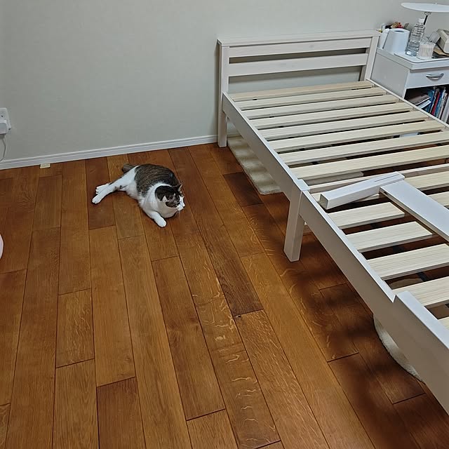 arisaさんの部屋
