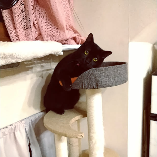 Tさんの実例写真
