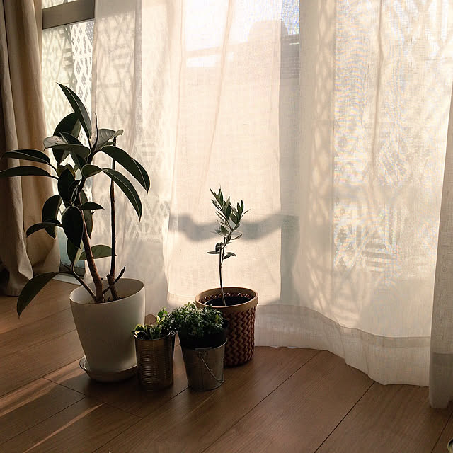 実例写真