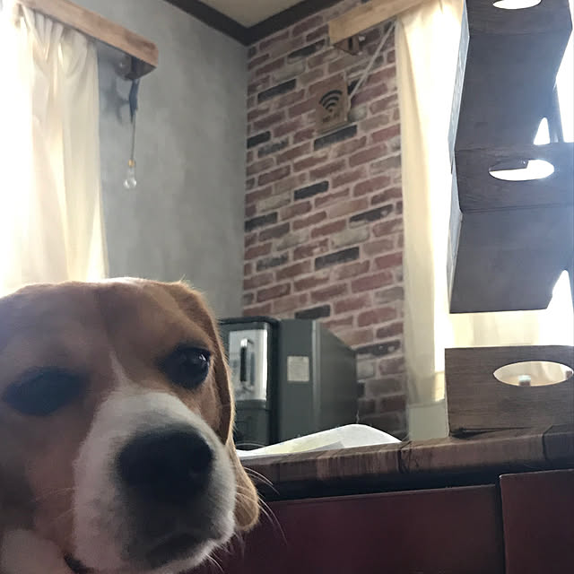 lovekuma_emilyさんの実例写真