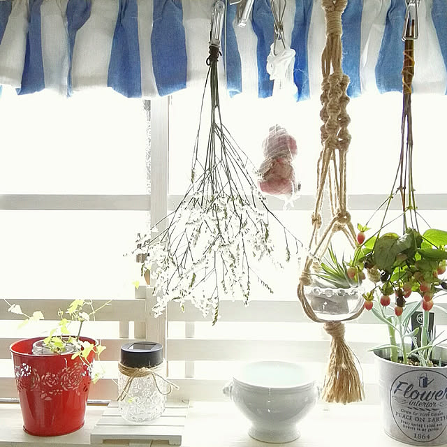 faunさんの実例写真