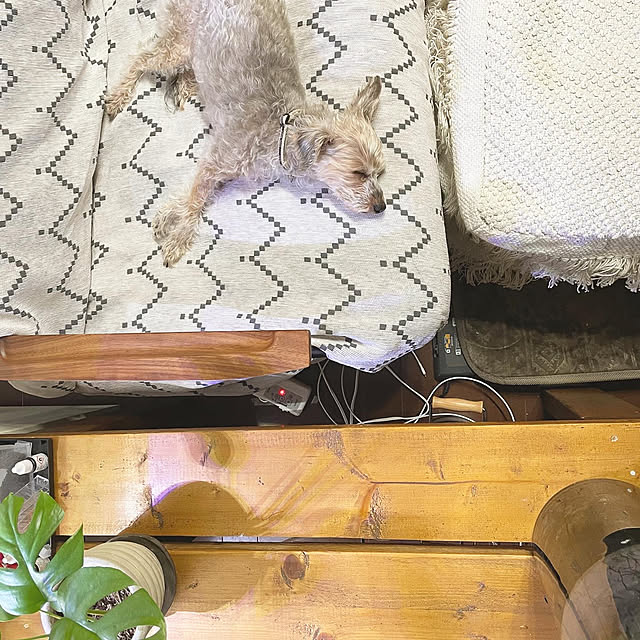 kuroさんの実例写真