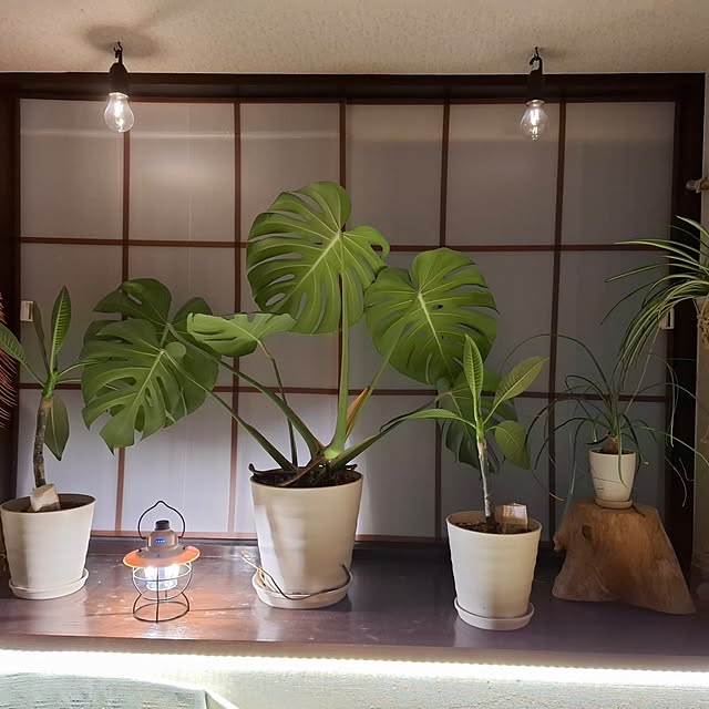 midoriさんの部屋