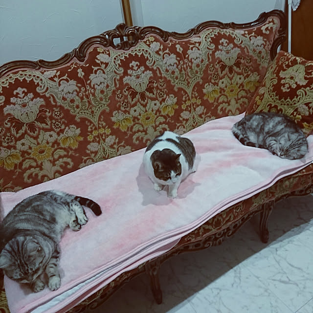 machikomamaさんの実例写真