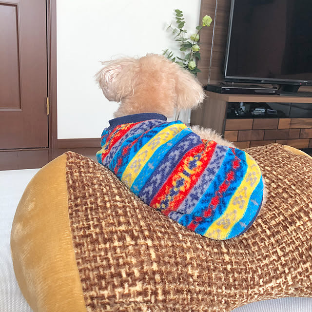 jasmineさんの実例写真