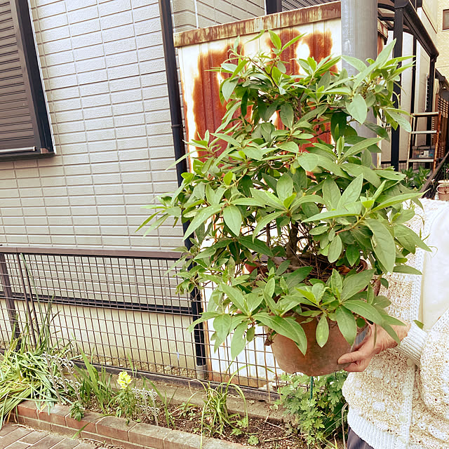 yop0127さんの実例写真