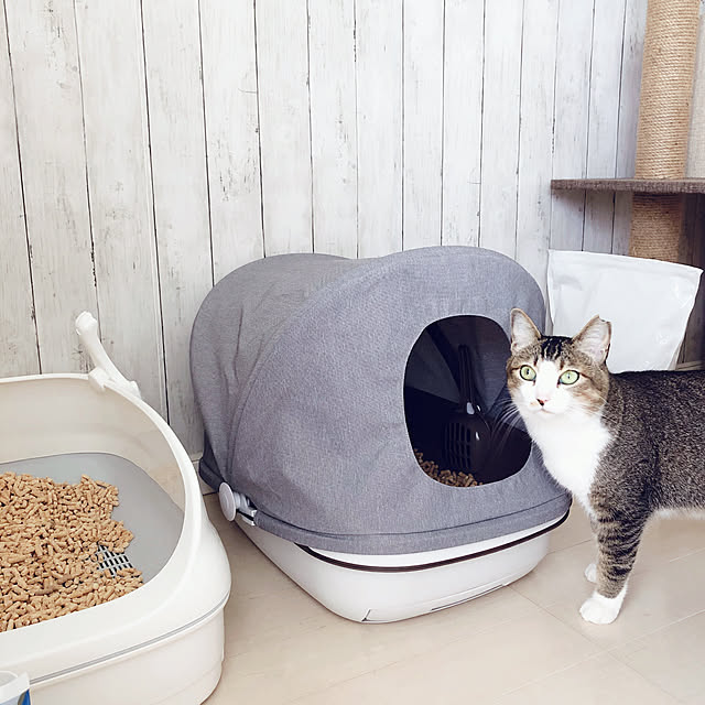 nekomiさんの実例写真