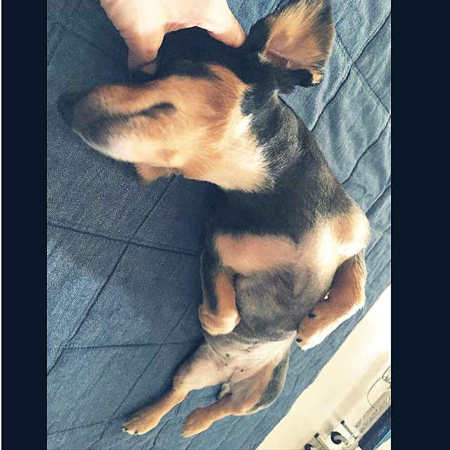 ohanaさんの実例写真