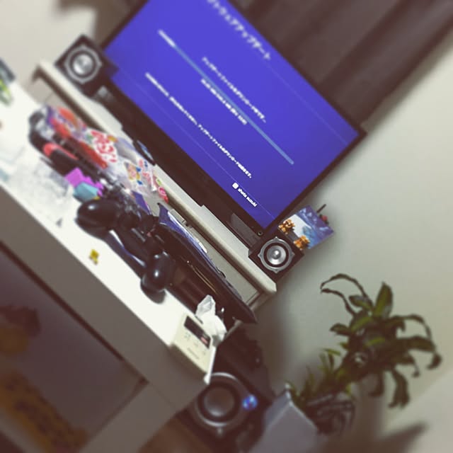 shotaaanさんの実例写真