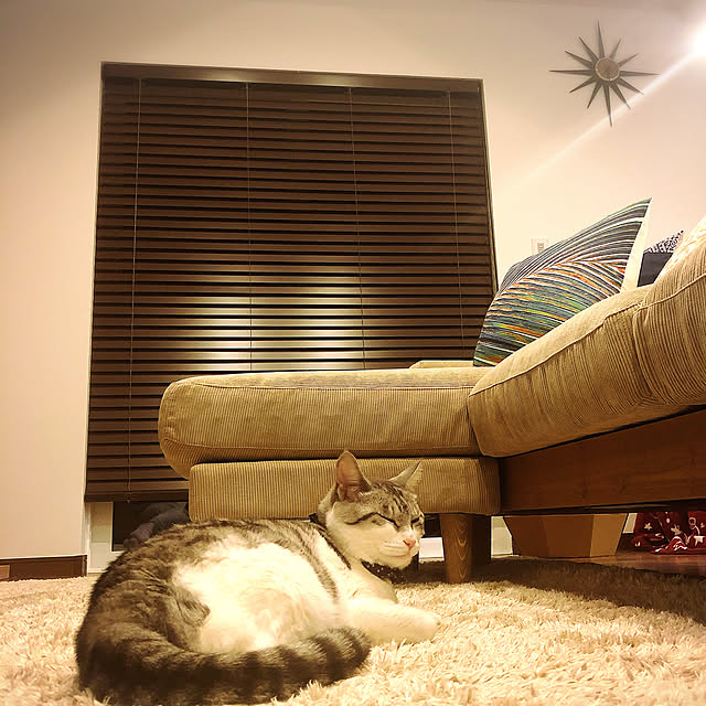 MaUさんの実例写真
