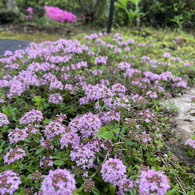 natsumiさんの実例写真