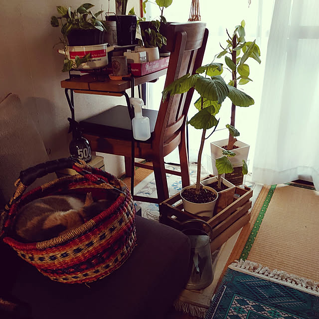 fukuさんの実例写真