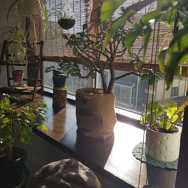 midoriさんの部屋
