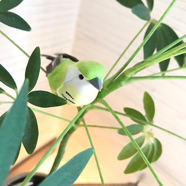 Nagakoさんの実例写真
