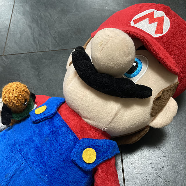manduonmaさんの実例写真