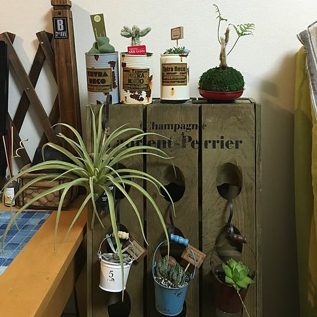 tetra163さんの実例写真