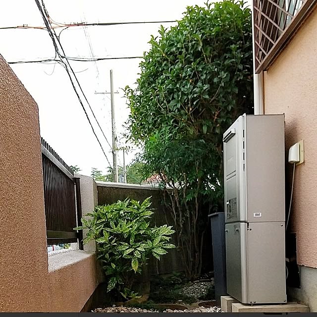 Renさんの実例写真