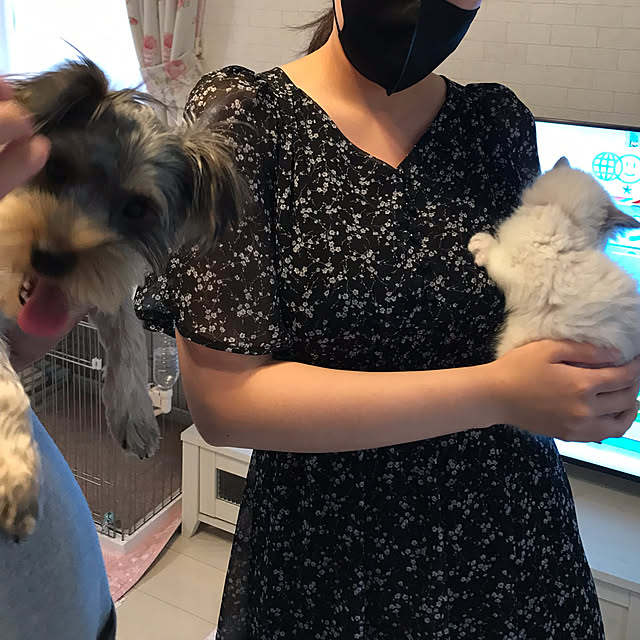 msさんの部屋