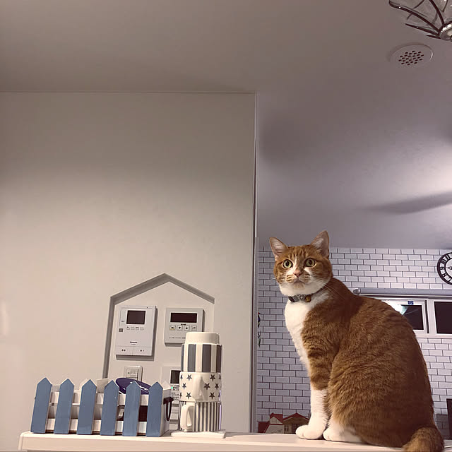 myuuさんの実例写真