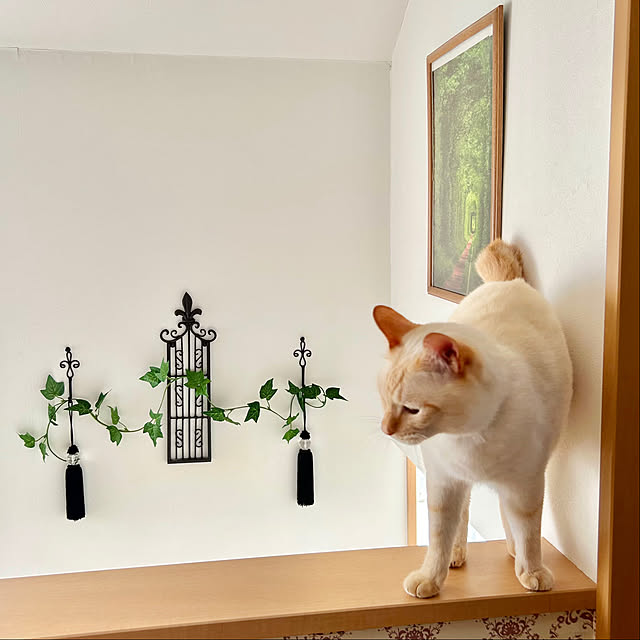 milkさんの部屋