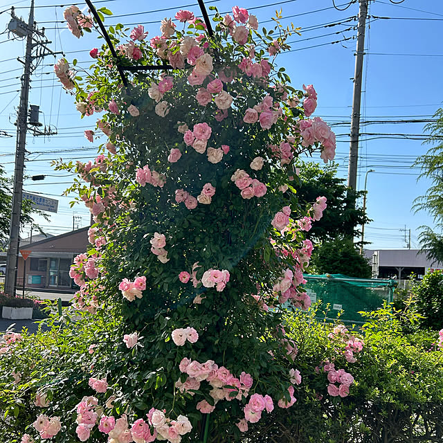 shabby666さんの部屋