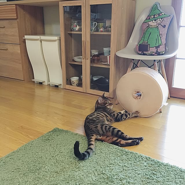 anさんの実例写真