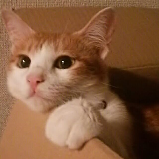 M.Kさんの実例写真