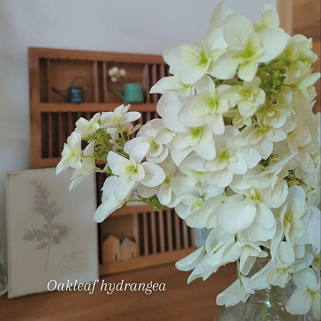ai.happyplaceさんの部屋