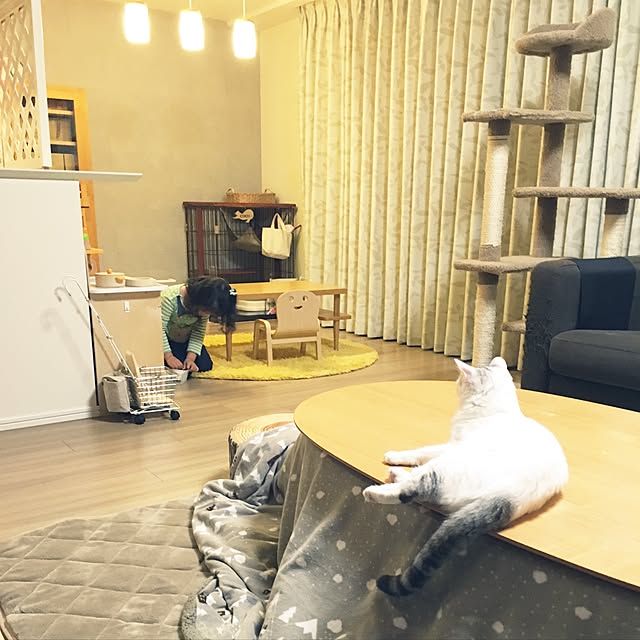 部屋全体/ナチュラル/マンション/こたつ/シンプルが好き...などのインテリア実例 - 2016-11-18 20:35:52