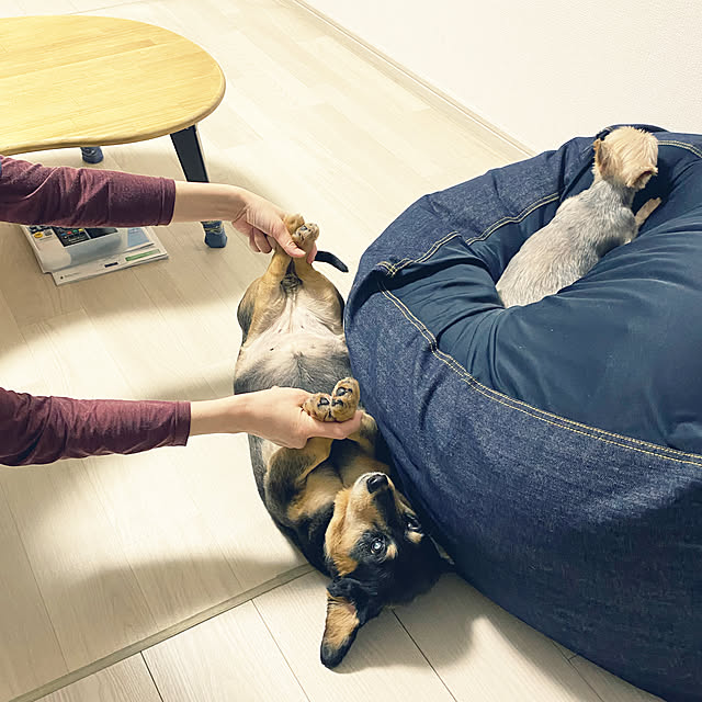 ohanaさんの実例写真