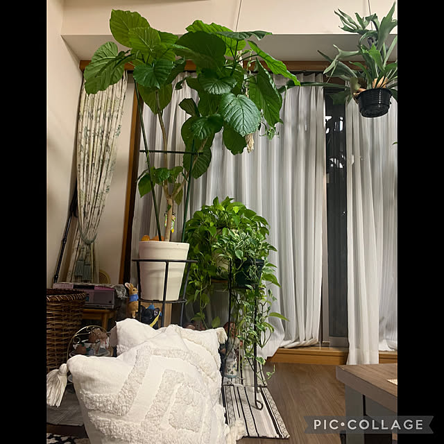 Aqettyさんの部屋