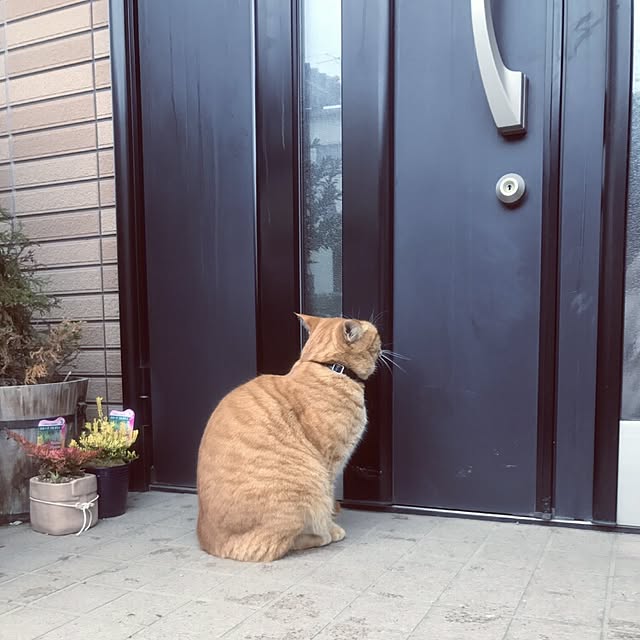 oyumiさんの実例写真