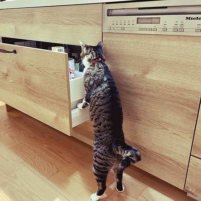guuguu77さんの実例写真