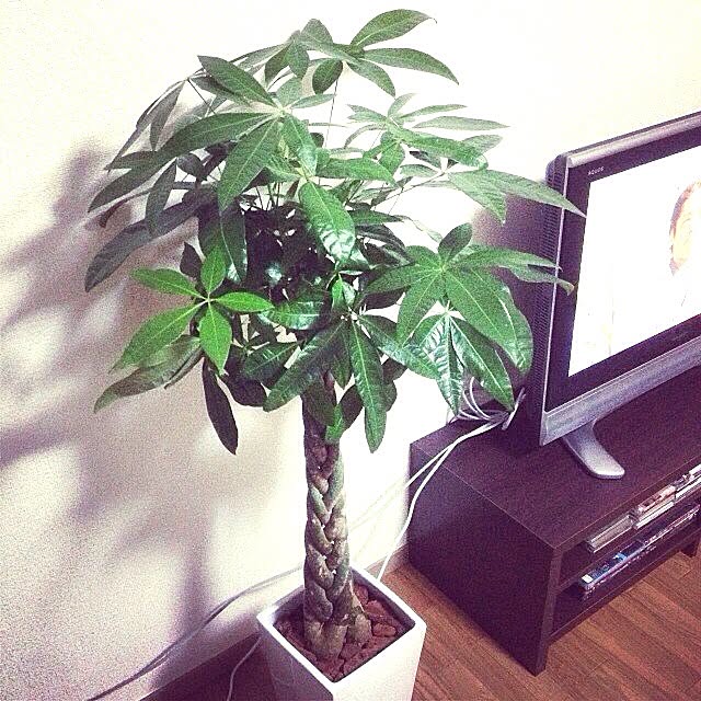 thuongsatさんの実例写真